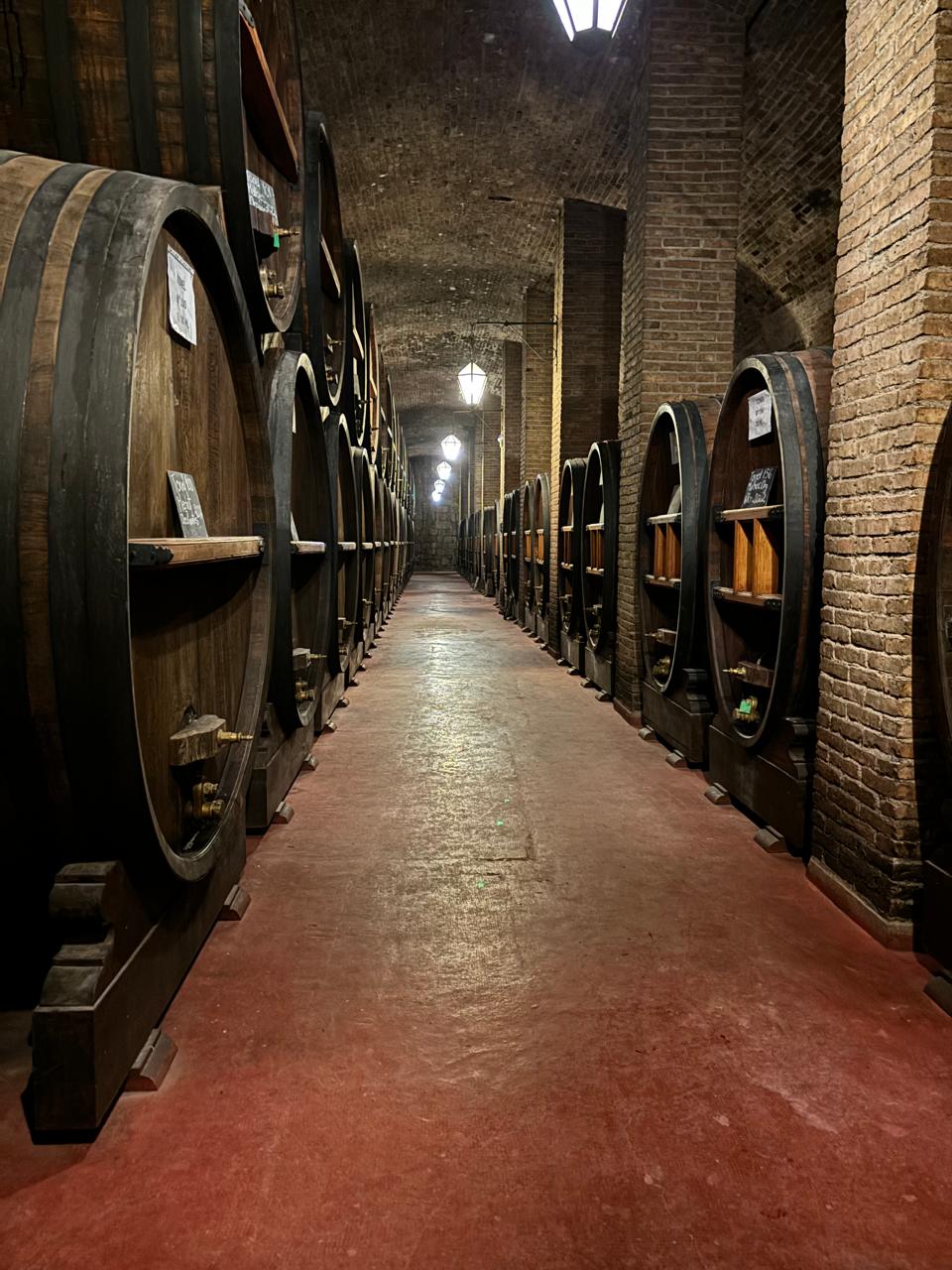 Sabores de Mendoza: una experiencia gastronómica con degustación de vinos y almuerzo gourmet en bodegas seleccionadas, ideal para vivir lo mejor del turismo en Mendoza.