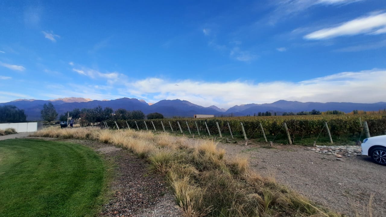 Tour bodegas Valle de Uco - Mendoza