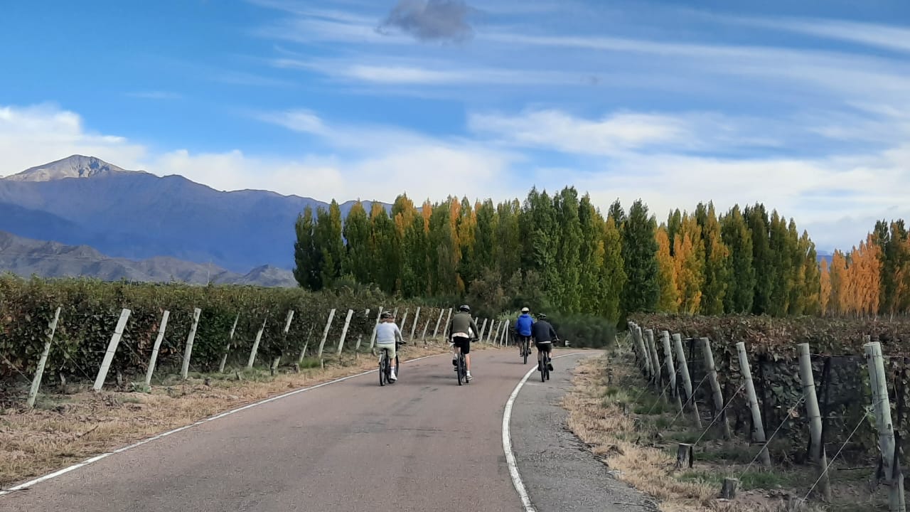 Excursiones y Tours: viví experiencias inolvidables recorriendo la Cordillera de los Andes, viñedos, pueblos históricos y los paisajes más emblemáticos de Mendoza.