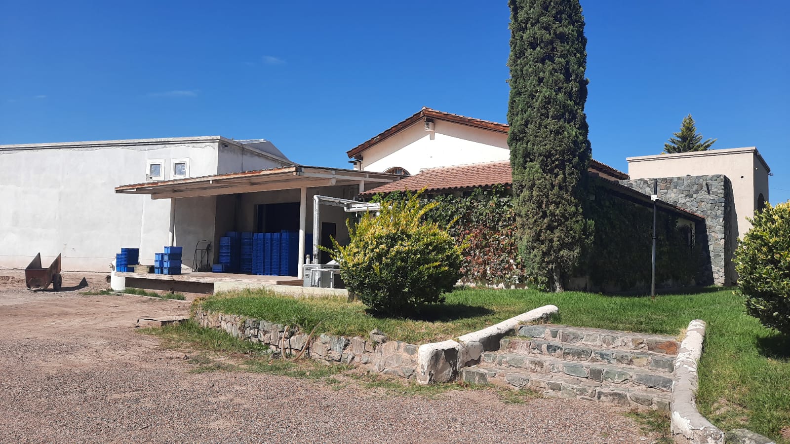 Tour de Bodegas de Mendoza – Visita Salentein y más