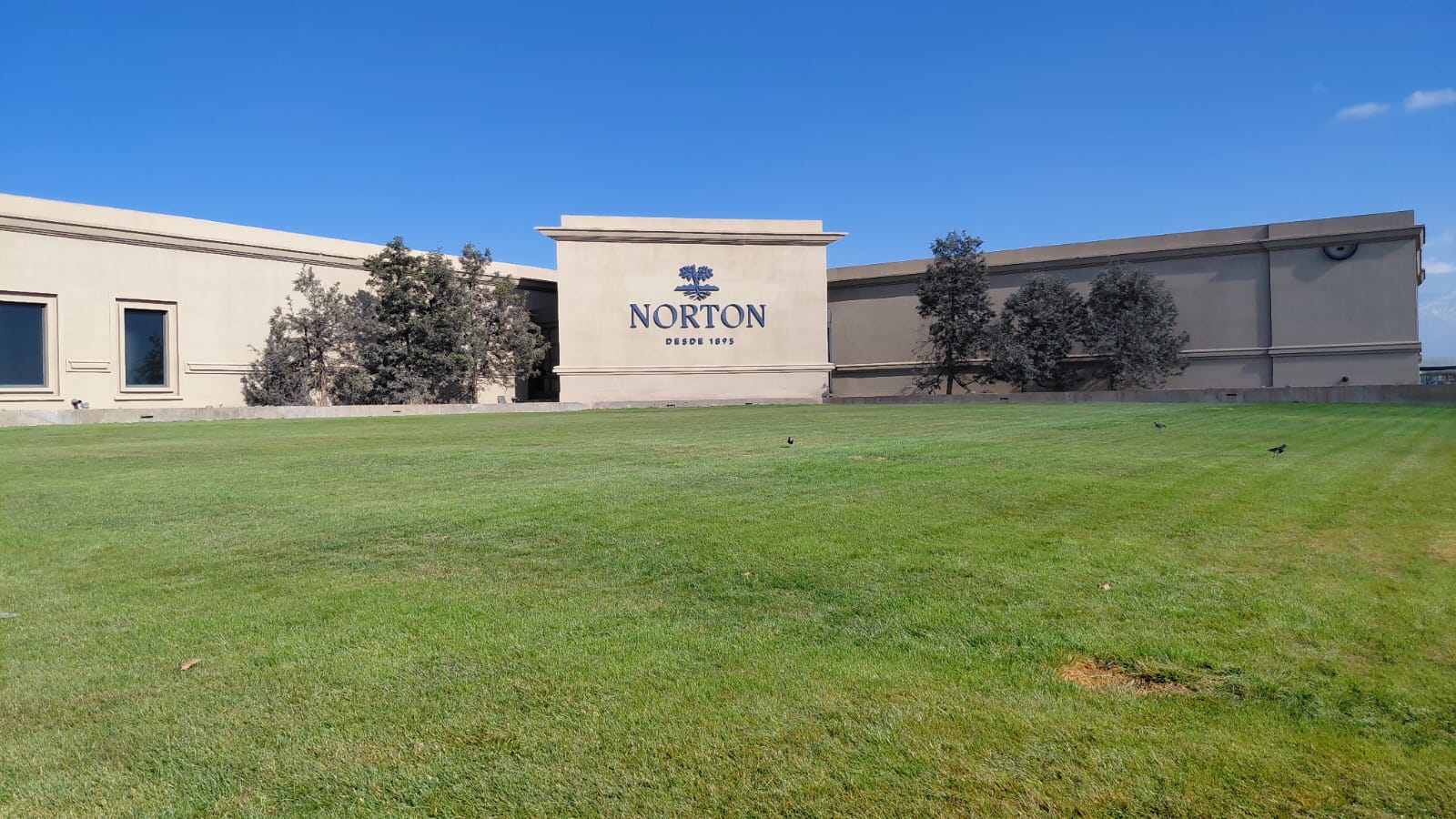 Tour Bodega Norton